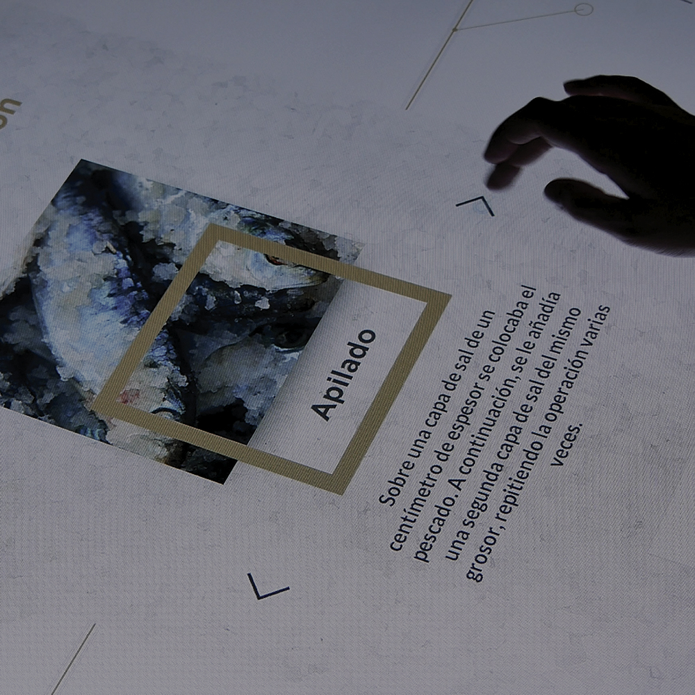 Multimédia Interativa e Digital Displays