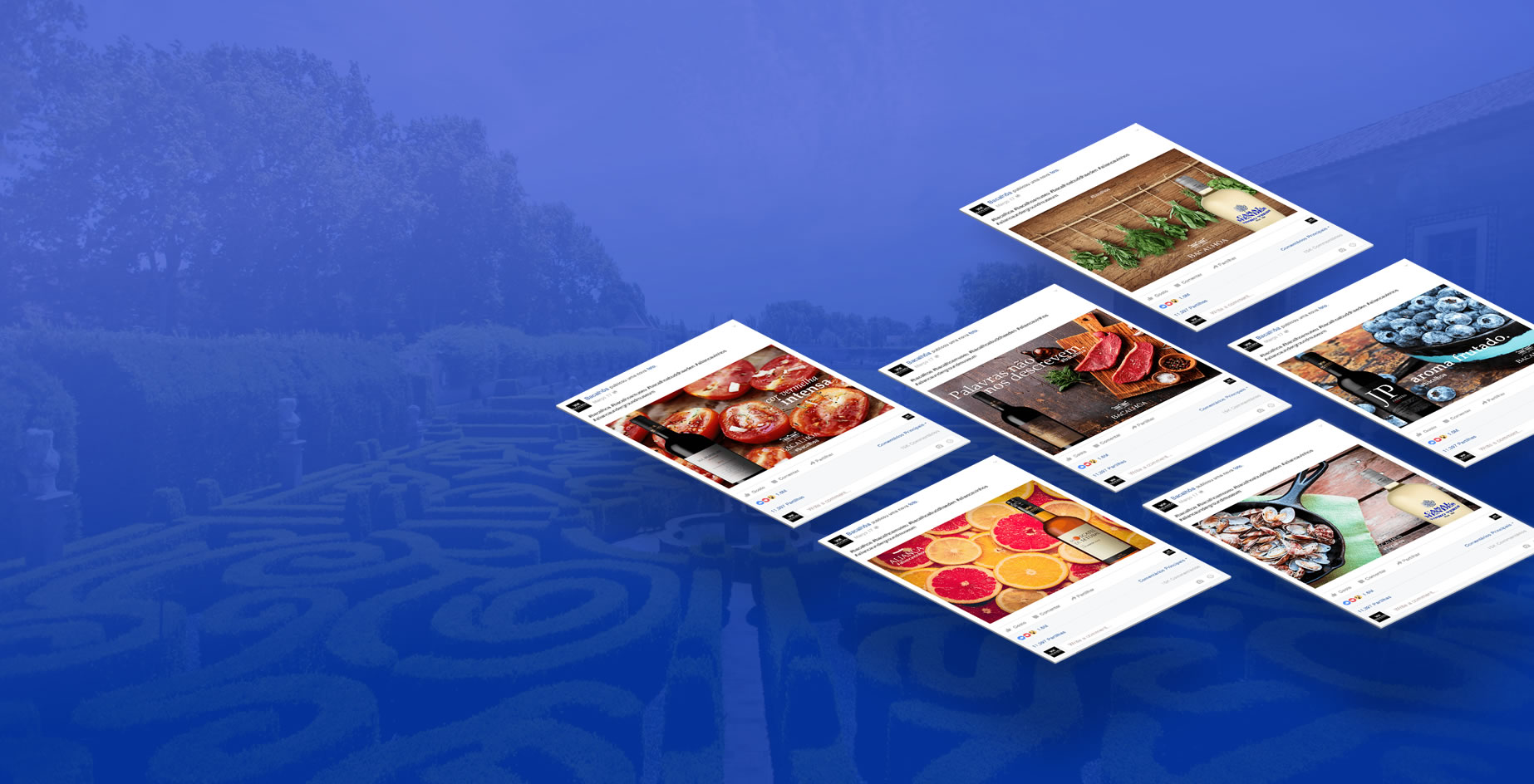 Bacalhôa Vinhos de Portugal