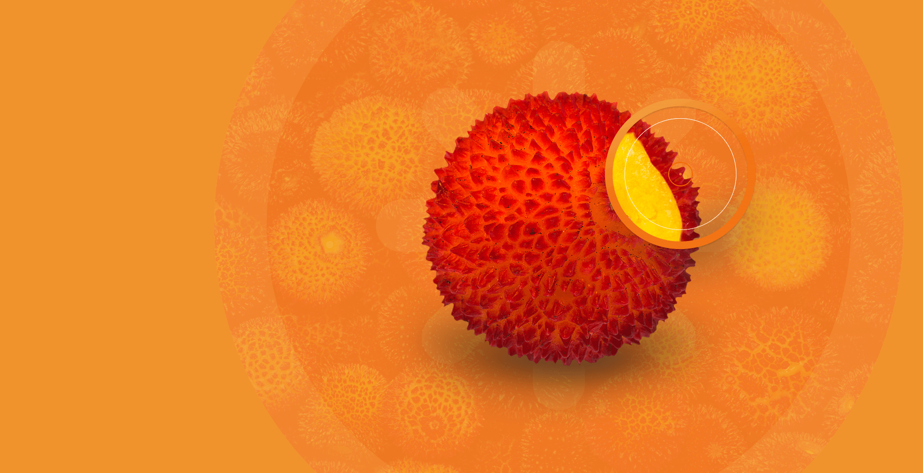 Município de Almodôvar