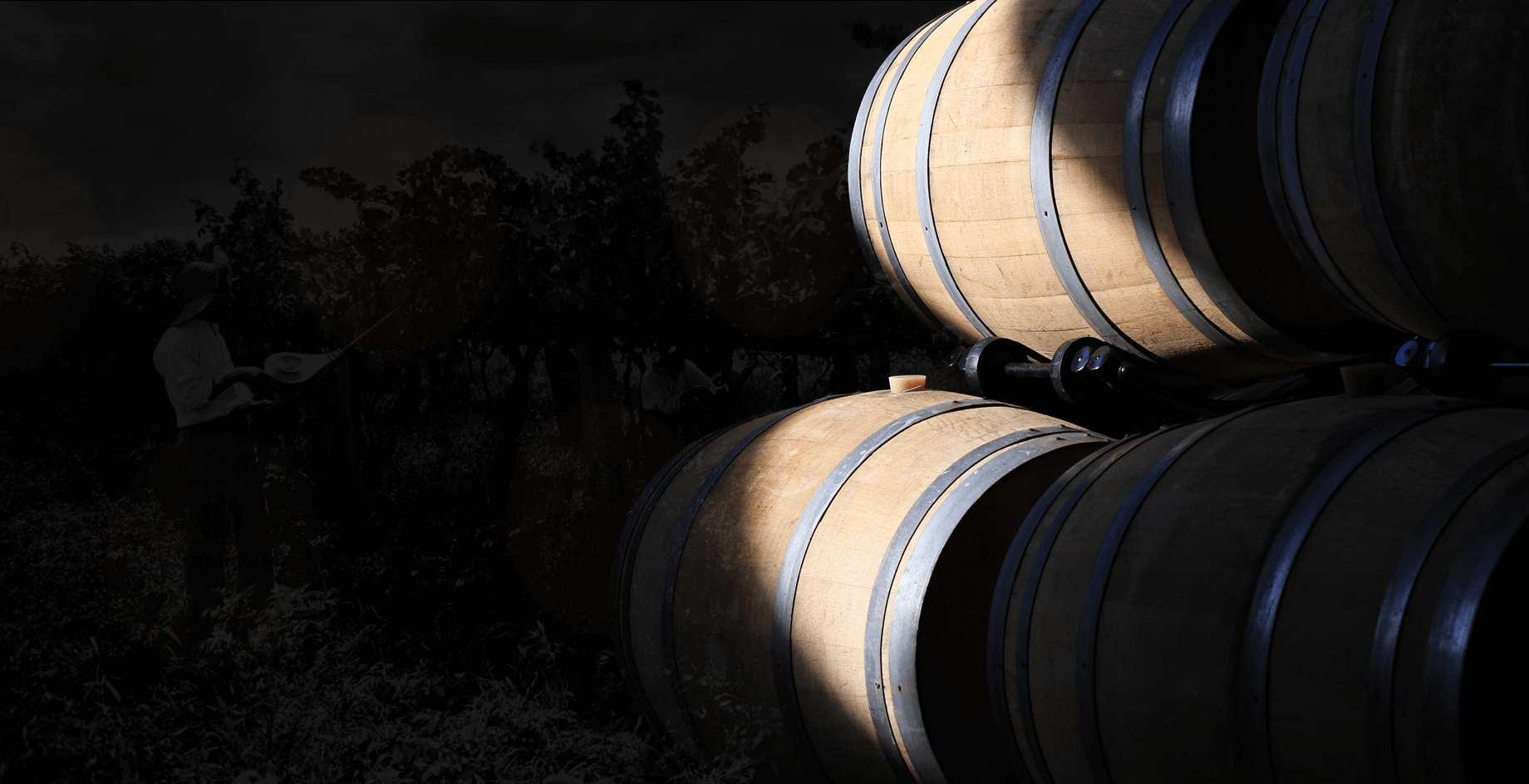 Município de Monção